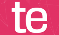 TE Bilişim